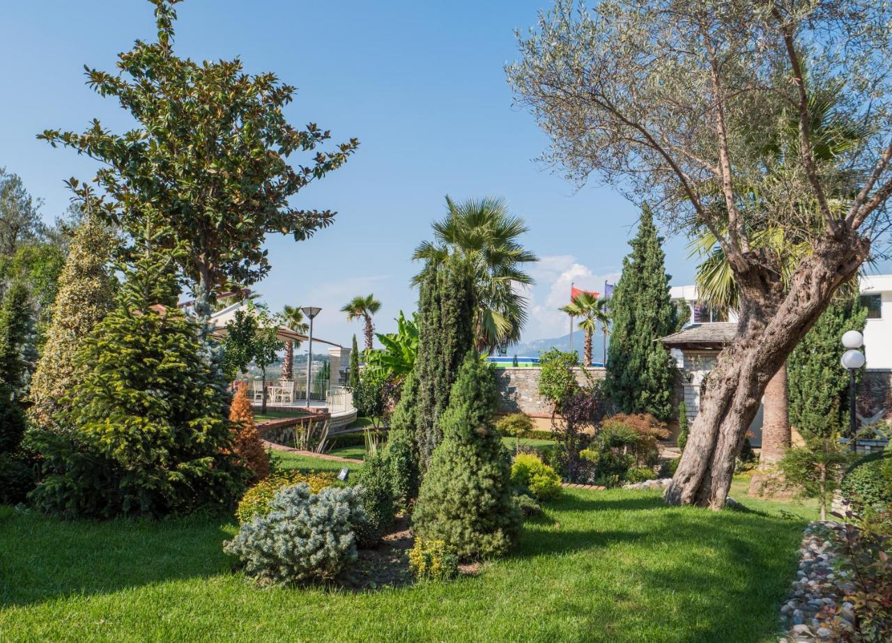 Palmanova Resort Mirash
